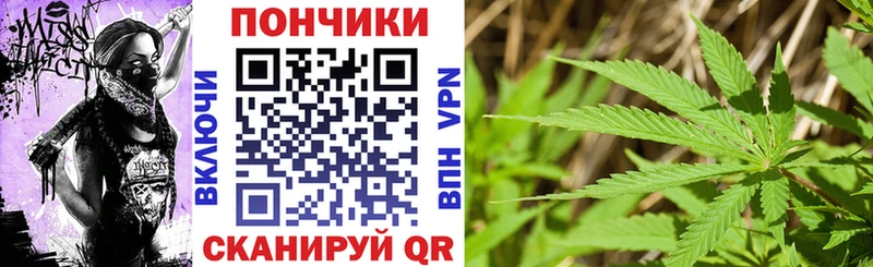 Каннабис планчик  Купить где  Закаменск 